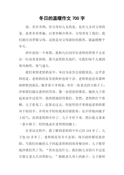 冬日的温暖作文700字-1.docx