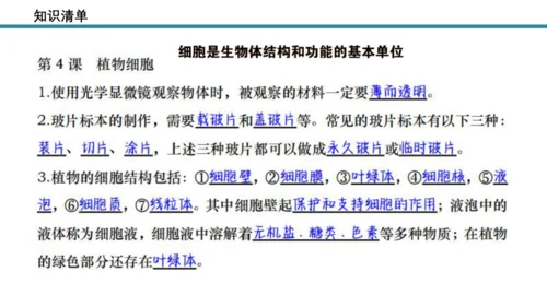 人教版生物七年级上册第一单元《生物与细胞》单元复习课件(共53张PPT)