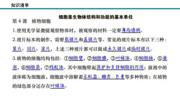人教版生物七年级上册第一单元《生物与细胞》单元复习课件(共53张PPT)