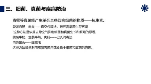 人类对细菌和真菌的利用PPT课件