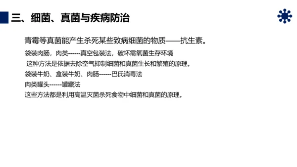 人类对细菌和真菌的利用PPT课件