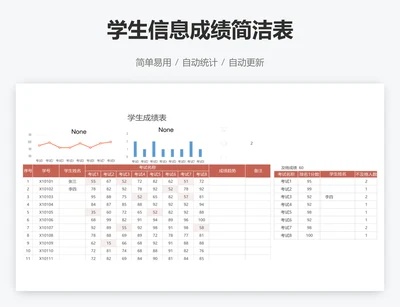 学生信息成绩简洁表