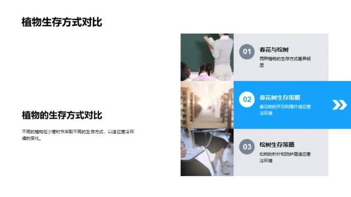 小寒之植物生存智慧