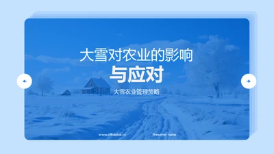 大雪对农业的影响与应对