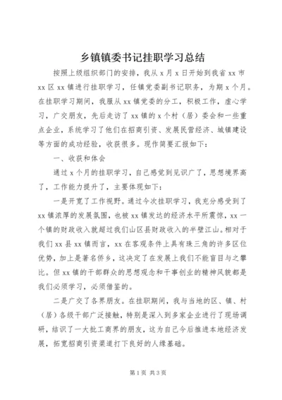 乡镇镇委书记挂职学习总结.docx