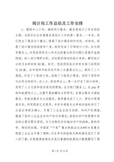 统计局工作总结及工作安排.docx