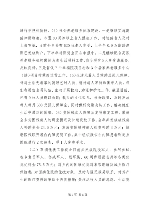 乡镇年度民政工作总结及下步工作安排.docx