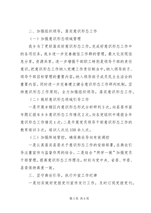 乡镇某年度宣传思想文化工作自查总结.docx