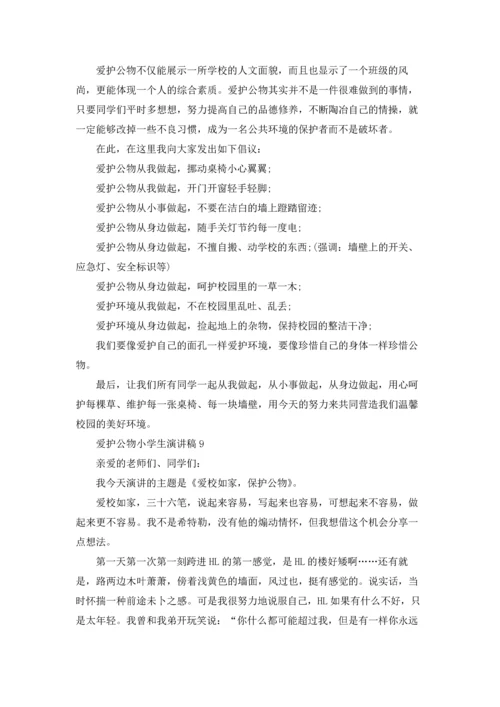 爱护公物小学生演讲稿13篇.docx
