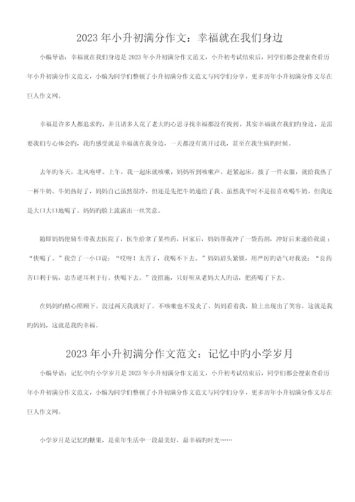 2023年小升初满分作文优质资料.docx