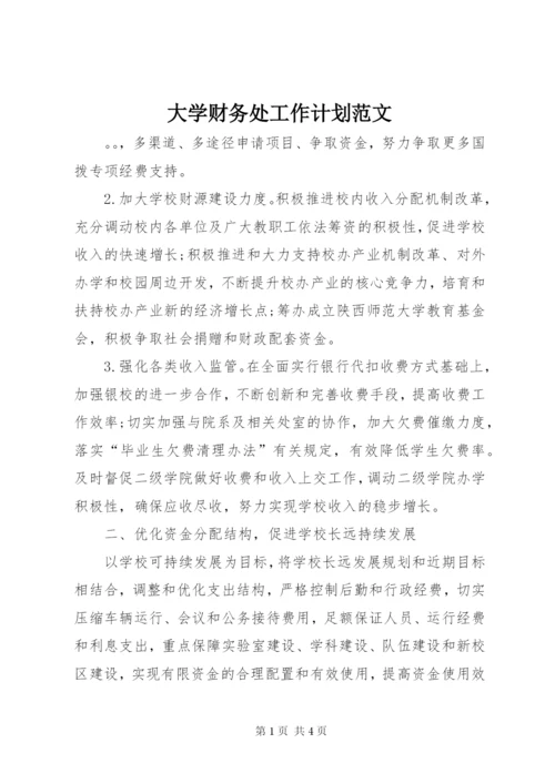 大学财务处工作计划范文.docx