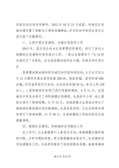 应急管理办公室工作总结及工作计划 (6).docx