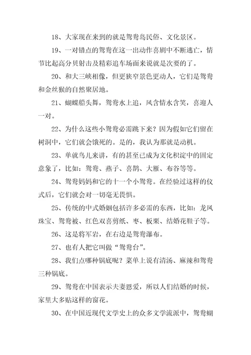 鸳鸯的解释和造句精彩2篇