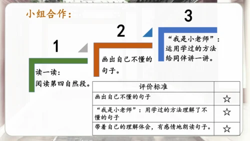 20肥皂泡   课件