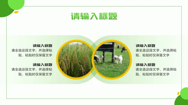 黄绿色几何实景乡村振兴新篇章PPT模板
