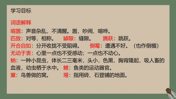 八年级下册蝉课件PPT模板