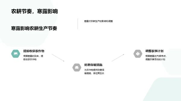 寒露与农耕时节