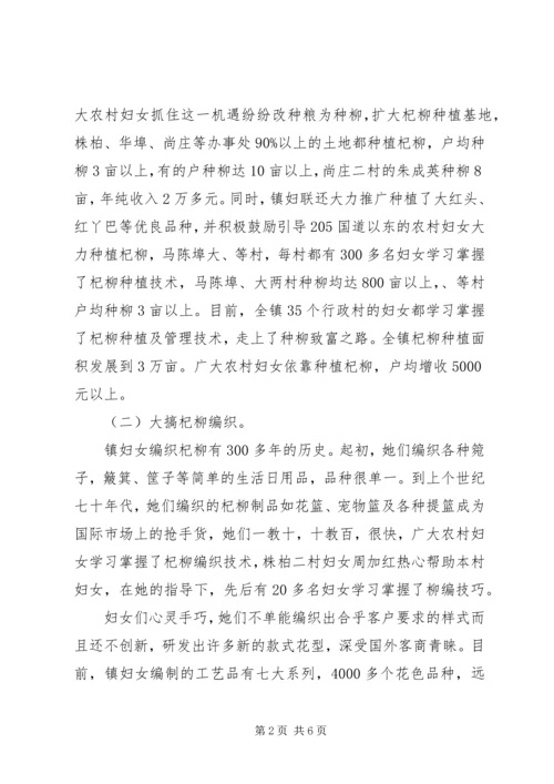 妇联增收致富调查工作汇报.docx