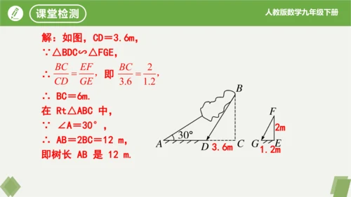 第27章 相似  复习课件（共19张）
