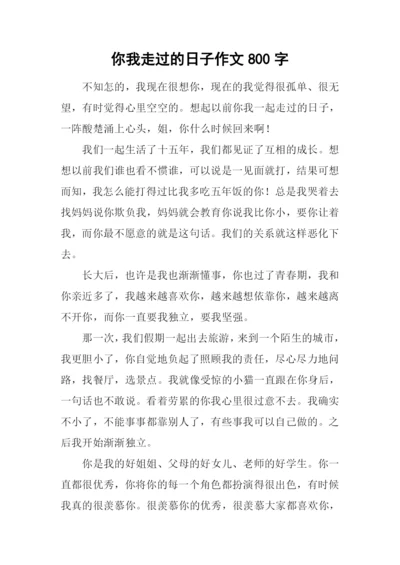 你我走过的日子作文800字.docx