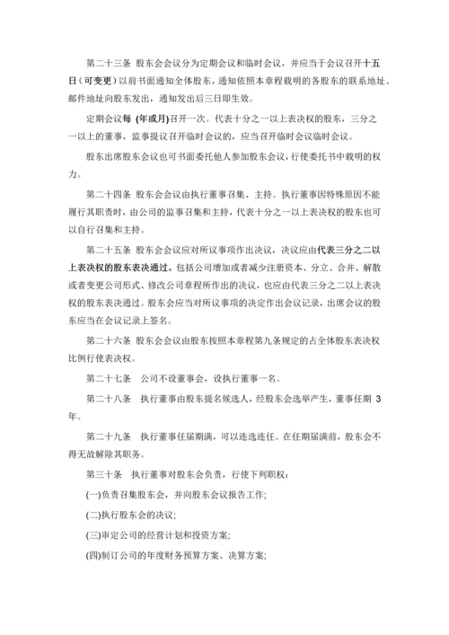 西安XX有限责任公司章程.docx