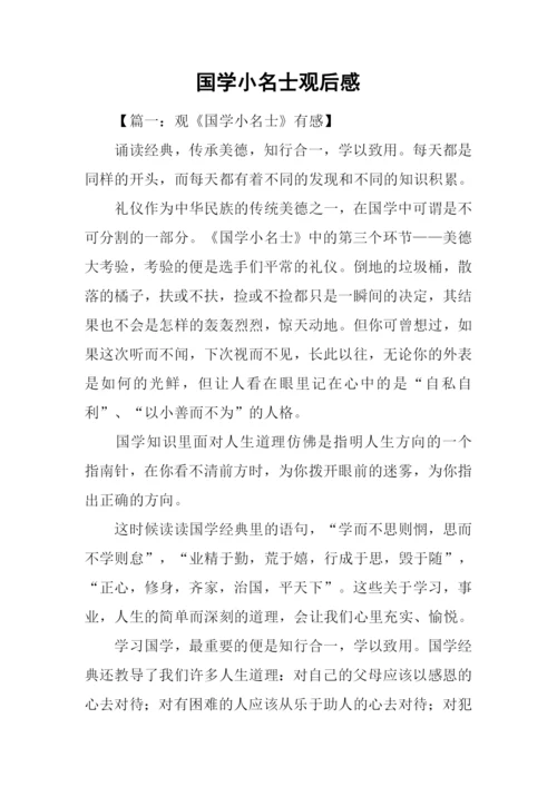 国学小名士观后感.docx