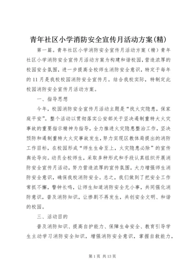 青年社区小学消防安全宣传月活动方案(精).docx