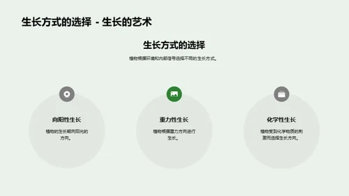 植物生长的秘密