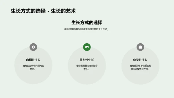 植物生长的秘密