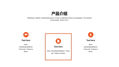 扁平PPT产品介绍