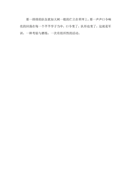 初中军训心得体会模板汇编五篇.docx