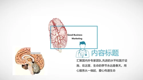医学医疗大脑研究报告ppt动态模板