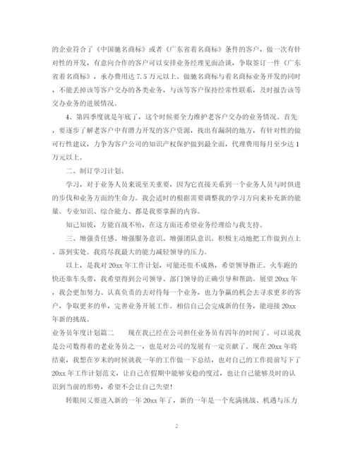 精编之业务员年度计划范文3篇.docx