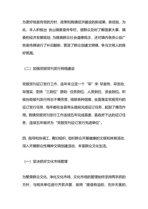 某镇宣传工作总结.docx