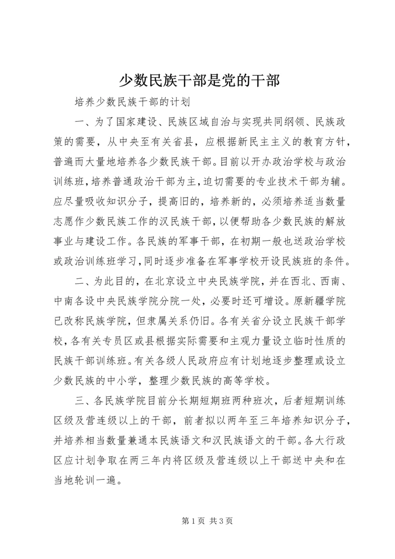 少数民族干部是党的干部 (2).docx