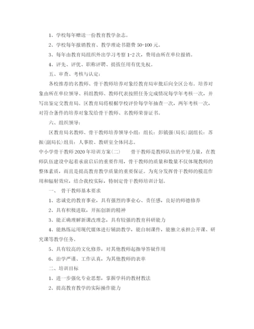 精编之中小学骨干教师年培训方案.docx