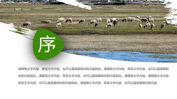 绿色内蒙古大草原民族风情蒙古包PPT模板