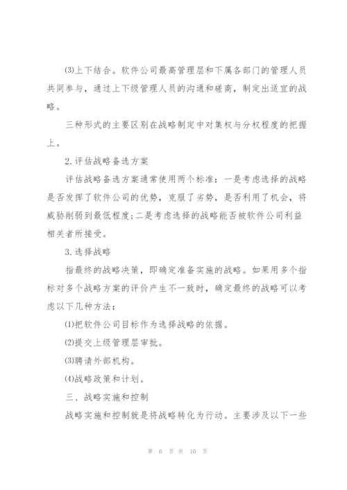 软件公司发展战略规划.docx