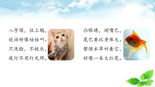 统编版语文四年级上册-2024-2025学年习作：小小动物园（课件）