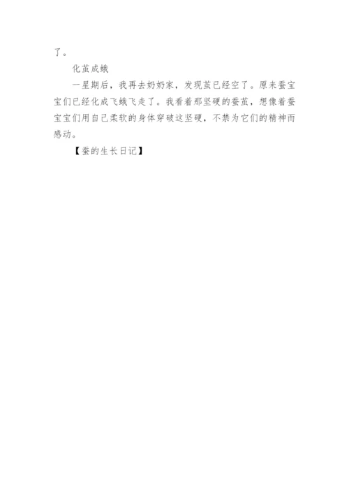 蚕的生长日记.docx