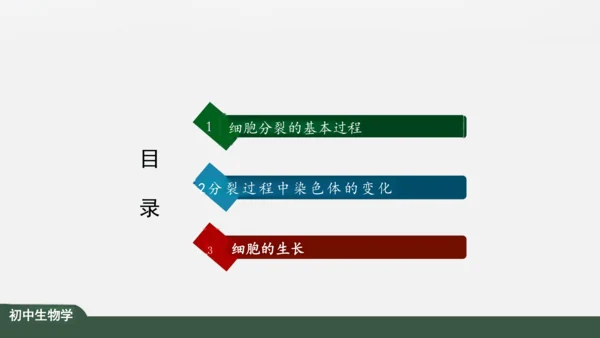 2.2.1 细胞通过分裂产生新细胞 课件（共22张PPT）