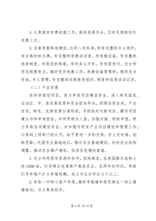 村第一书记任职规划计划.docx