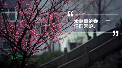 八年级下册第六单元课外古诗词诵读 卜算子.咏梅 课件(共23张PPT)
