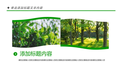 绿色环保森林生态文明建设森林日环保PPT模板