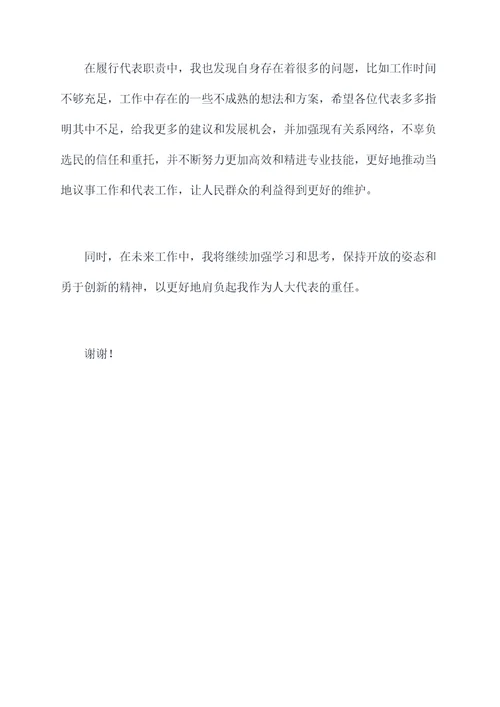 人大代表述廉述职报告