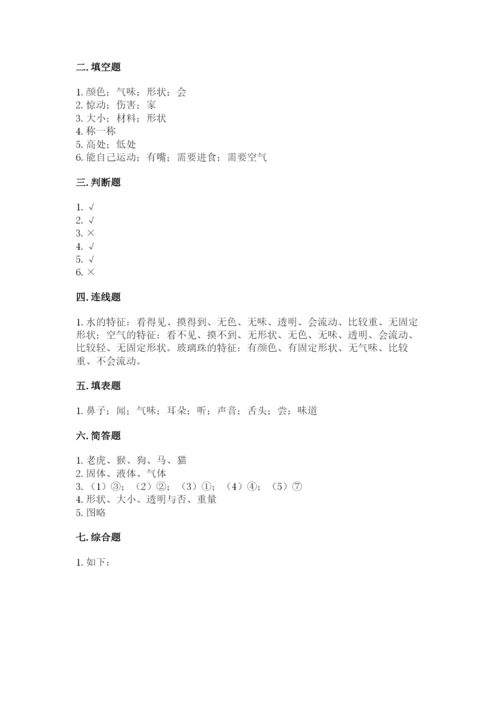 教科版一年级下册科学期末测试卷审定版.docx