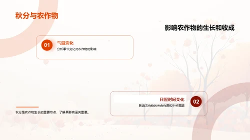 秋分之谜