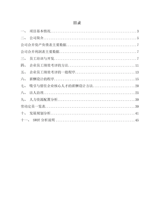 光棒公司企业人力资源管理