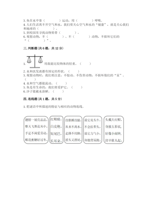 教科版小学科学一年级下册期末测试卷【模拟题】.docx