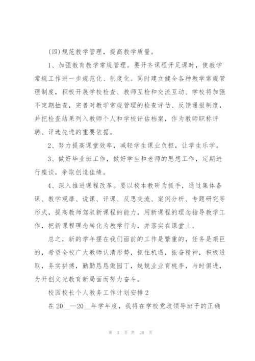 校园校长个人教务工作计划安排.docx